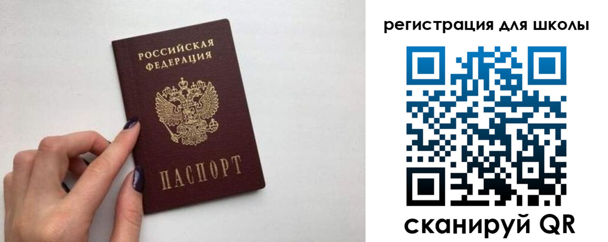 прописка поиск в Светогорске